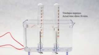 Why the amount of a gas collected double in volume as compared to other during the electrolysis [upl. by Ardel561]