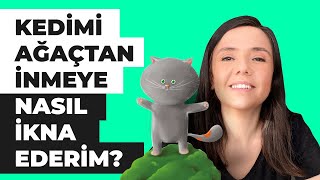 Okumayı Yeni Öğrenen 1Sınıflar İçin Kitap Etkinliği Önerileri [upl. by Annawak]