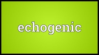 Echogenic Meaning [upl. by Analiese]