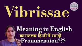 vibrissae meaning l meaning of vibrissae l vibrissae ka Hindi mein kya matlab hota hai l vocabulary [upl. by Pry]