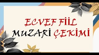 ECVEF FİİL MUZARİ ÇEKİMİ Detaylı Anlatım [upl. by Radu69]