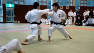 Karate Demonstration [upl. by Hardej]