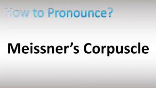 How to Pronounce Meissner’s Corpuscle [upl. by Aillimat928]