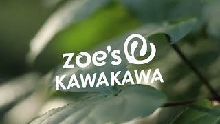 Zoes Kawakawa  New Zealand Made Skincare [upl. by Vacla547]