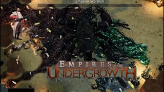 empires of the under growth update ep2 Matabele ants [upl. by Madelaine]