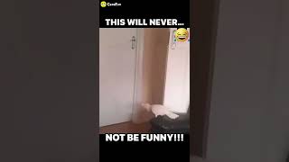 swearing bird birdlover funny funnyvideos funnyanimal funnyshorts [upl. by Nalda540]