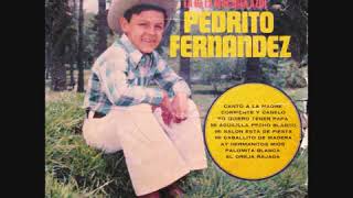 A MI MADRE QUERIDA  PEDRITO FERNÁNDEZ CANCIÓN COMPLETA [upl. by Senalda299]