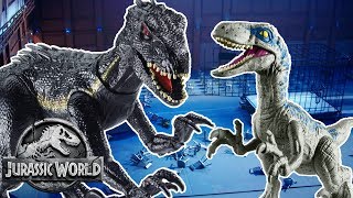 Dinosaur Battles Blue VS Indoraptor  Jurassic World  Mattel Action [upl. by Rivkah]