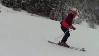 Parallel Skiing  1  PSIA  Level 2  Movement Analysis Training [upl. by Virgilio]