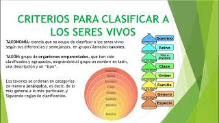 Clasificación de los seres vivos [upl. by Idnyc37]