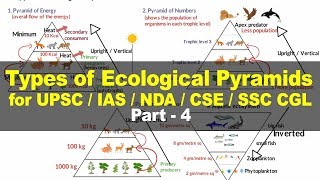 Types of Ecological Pyramids  Energy Biomass Numbers  Environment and Ecology for UPSC Part 4 [upl. by Sung]