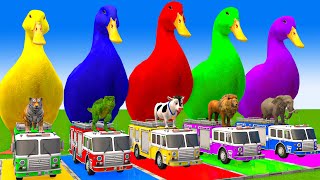 5 Giant Duck CartoonCowElephantTigerLionGorilla Paint Wild Animals Crossing Fountain Animation [upl. by Annayehc]