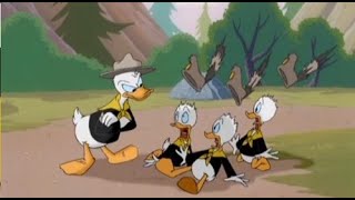 Donald Duck Cartoons Full Episodes [upl. by Rundgren629]