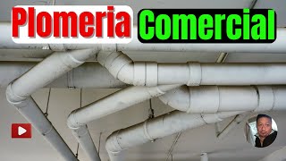 👉PloMeria COMercial Desde cero En Estados Unidos [upl. by Hulburt]