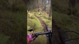 Steep MTB trails at Aberfoyle Mountain bike Enduro trails mtb mtbpov mountainbiker mtbrider [upl. by Sekofski]