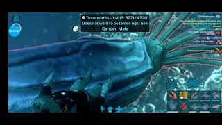 How To taming tusoteuthis doesnt want to be taming ark survival evolved mobile [upl. by Faustena100]