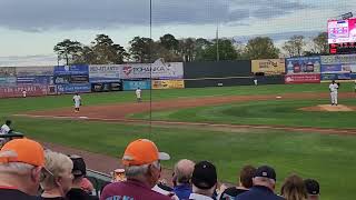 Delmarva shorebirds 2023 Spring [upl. by Shalom]