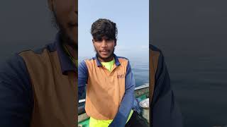 Sea Video In Telugu amarboat fishing telugufishing telugushorts [upl. by Nnarual]