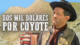 Dos mil dólares por Coyote  Película completa en español [upl. by Akinehs707]