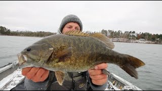 Bass Fishing  LATE Fall Bite  Hayward Wisconsin [upl. by Curr]