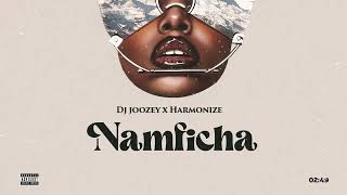 Dj Joozey X Harmonize  Namficha Official Lyrics Audio [upl. by Kanor829]