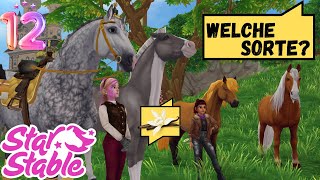 SSOEvent Star Stable bekommt einen Kuchen zum 12 Geburtstag oder [upl. by Casar255]