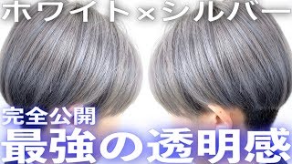 【ホワイト系シルバーカラー】黒髪からブリーチ１回で作る！染め方完全公開！ ヘアカラーアッシュグレー【美容室メロウ】 [upl. by Aeriela]