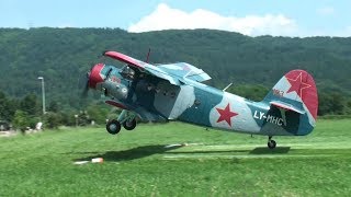 ✈ GREAT Antonov AN2  world biggest singleengine biplane  DDay Sisseln Switzerland [upl. by Finny922]