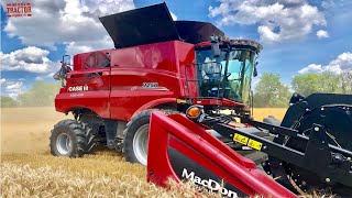 Case IH 9250 AxialFlow Combine Harvesting Wheat [upl. by Aihsenot]