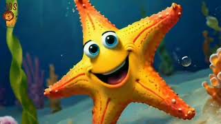 The Little Starfish nursery rhyme for kids jbs cartoon channel [upl. by Kciwdahc]