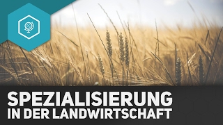 Spezialisierung in der Landwirtschaft  Landwirtschaft in Industrieländern 8 [upl. by Nnire]