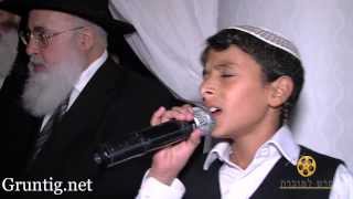 Uziya Tzadok Sings Kochav Meir Live At Chuppah [upl. by Hyps800]