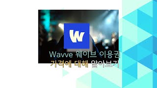 웨이브에서 제공하는 모든 이용권 가격에 대해 잠시 훑어보았다 [upl. by Alram711]