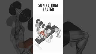 Supino com Halter Técnica e Benefícios para um Peito Definido [upl. by Aimej]