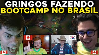 GRINGOS CONHECENDO SERVER BR BOOTCAMP BRTT INCRÉDULO COM VOCORVO  RENECRODILO LEAGUE OF LEGENDS [upl. by Yeldnarb579]