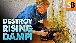 Easy DIY Solution to Treat Rising Damp in Walls [upl. by Bozovich]