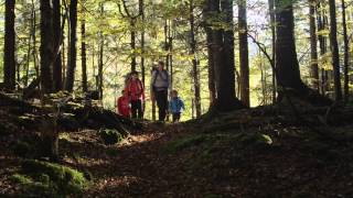 Urlaub in Ruhpolding  Sommer amp Winteraktivitäten in den Bayerischen Alpen [upl. by Seiter]