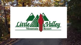 Little Valley Mountain Resort Cabin  Horseshoe Hideaway [upl. by Zeitler]