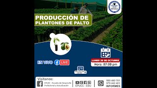 📘𝐂𝐔𝐑𝐒𝐎 PRODUCCIÓN DE PLANTONES DE PALTO 🥑 [upl. by Hardwick]