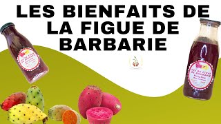 LES BIENFAITS DE LA FIGUE DE BARBARIE jusdefiguedebarbarienouveauproduitetounature [upl. by Gearalt]