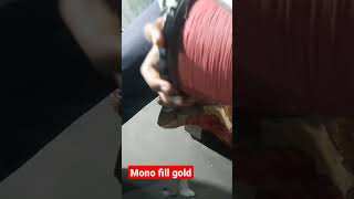 mono fill gold  best manja  kite flying lohri  2023  anpad londe [upl. by Oigimer]