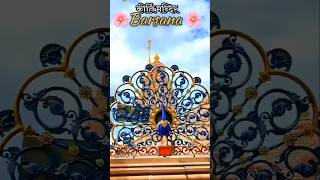 Shyma aio basodevotional krishna hindudeity bhajan [upl. by Almeria478]