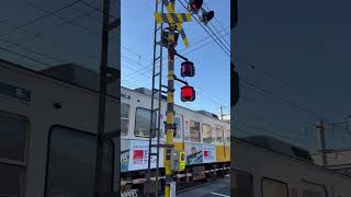 Kotoden Takamatsu  2 trains at railroad crossing in Japan [upl. by Ahsier608]