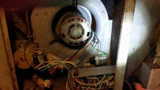 Air Handler Blower Motor Not Running Repair Apollo Hydroheat MA4230 [upl. by Elime]