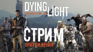 Dying Light Part 1 захватывающее приключение часть 1 [upl. by Weirick]