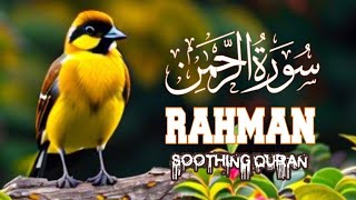 Beautiful Recitation of Surah Rahmanسورۃ الرحمن  Beautiful voice  Quran Recitation [upl. by Aitret]