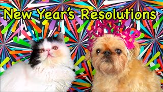 New Years Resolutions Goal Setting for Kids [upl. by Gurango]