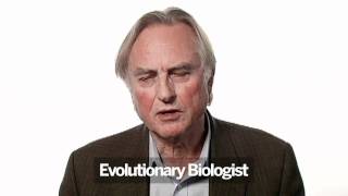 Richard Dawkins What Keeps You Up At Night [upl. by Aleb]