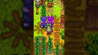 ECONOMIZE 5 MILHÕES DE OUROS NO Stardew Valley [upl. by Ahsekat]