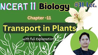 Transport in Plants  Class 11 Biology Made Easy  NCERT Explained [upl. by Sheffie]